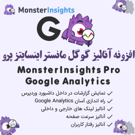 Monsterinsights Pro Google Analytics 2