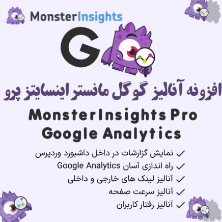 Monsterinsights Pro Google Analytics 2