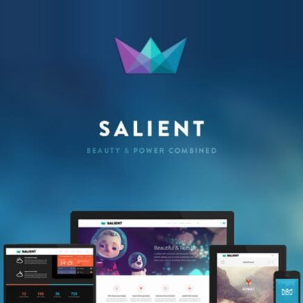 Salient Responsive Multi Purpose Theme