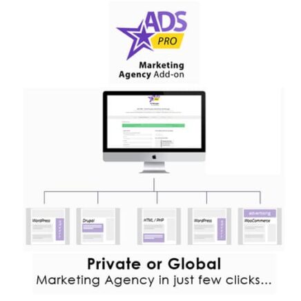 Ads Pro Add On Wordpress Marketing Agency