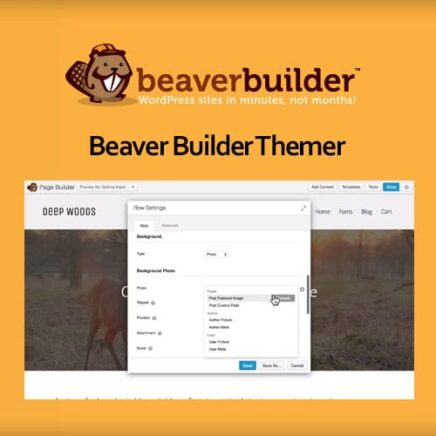 Beaver Builder Themer