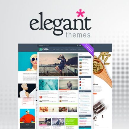 Elegant Themes Extra Wordpress Theme