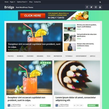 Mythemeshop Bridge Wordpress Theme