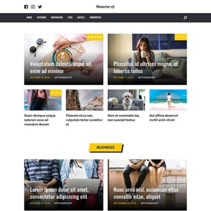 Mythemeshop Reactor Wordpress Theme