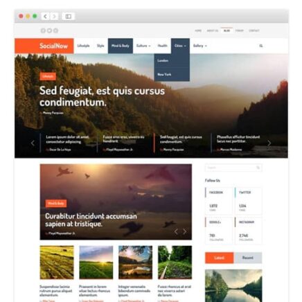 Mythemeshop Social Now Wordpress Theme