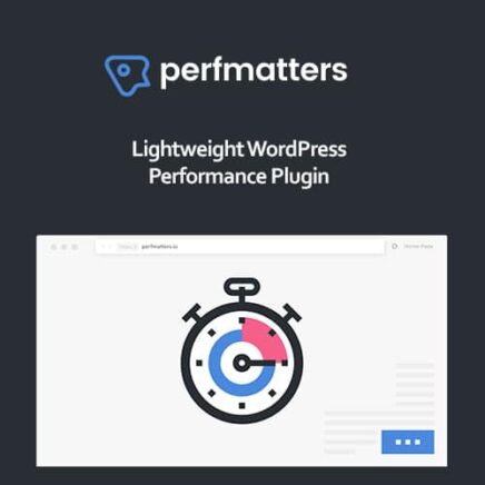 Perfmatters Wordpress Plugin