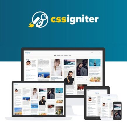 Css Igniter Pinfinity Wordpress Theme