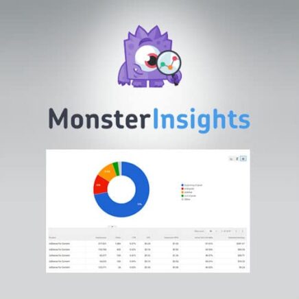 Monsterinsights Ads Addon