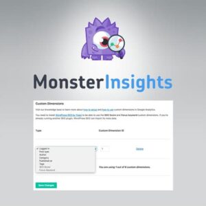 Monsterinsights Dimensions Addon