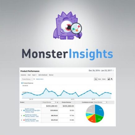 Monsterinsights Ecommerce Addon