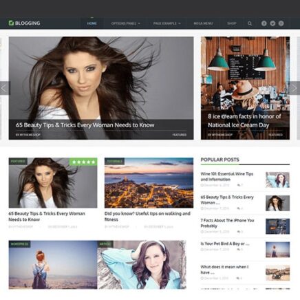 Mythemeshop Blogging Wordpress Theme