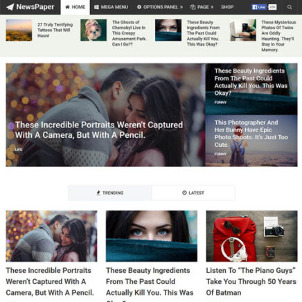 Mythemeshop Newspaper Wordpress Theme