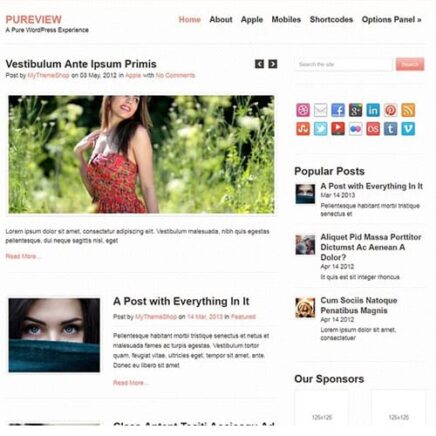 Mythemeshop Pureview Wordpress Theme