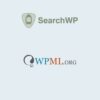 افزونه SearchWP WPML Integration