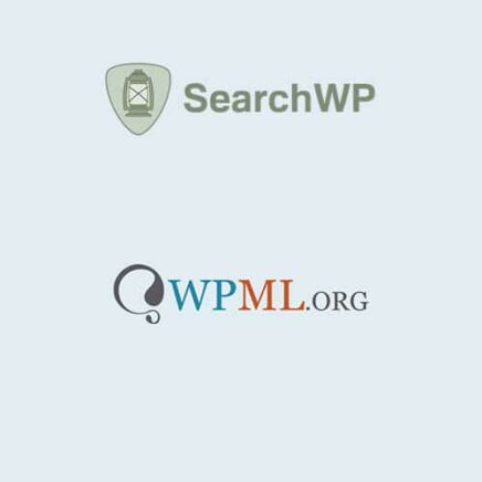 Searchwp Wpml Integration