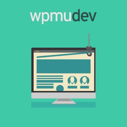 Wpmu Dev Multisite Theme Manager