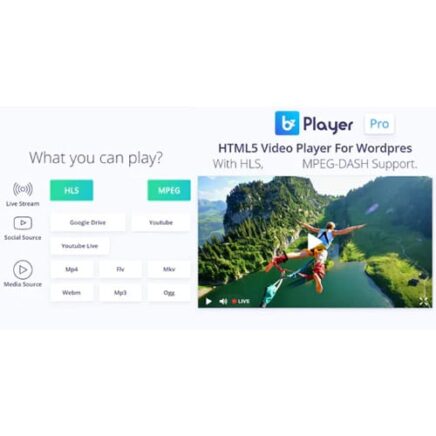 Bzplayer Pro Live Streaming Player Wordpress Plugin