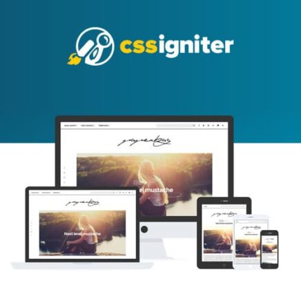 Css Igniter Paperbag Wordpress Theme