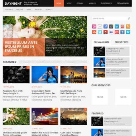 Mythemeshop Daynight Wordpress Theme