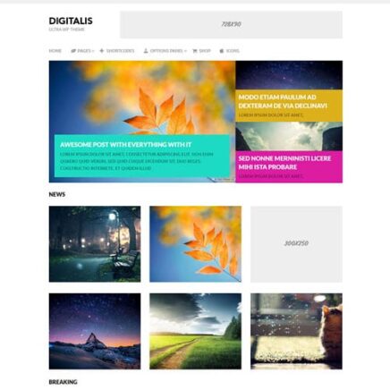 Mythemeshop Digitalis Wordpress Theme