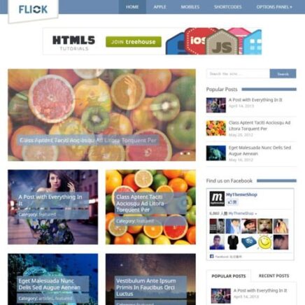 Mythemeshop Flick Wordpress Theme