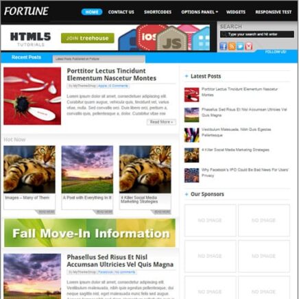 Mythemeshop Fortune Wordpress Theme