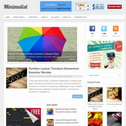 Mythemeshop Minimalist Wordpress Theme
