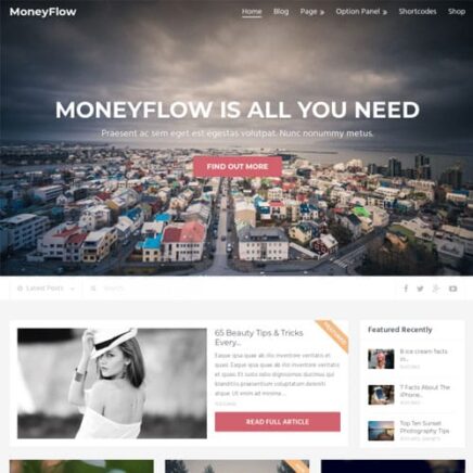 Mythemeshop Moneyflow Wordpress Theme