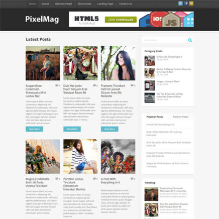 Mythemeshop Pixelmag Wordpress Theme