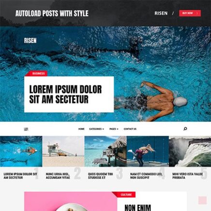 Mythemeshop Risen Wordpress Theme