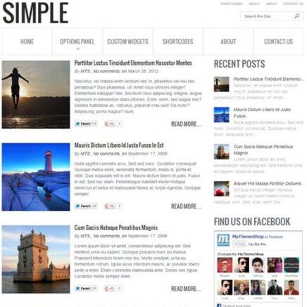 Mythemeshop Simple Wordpress Theme