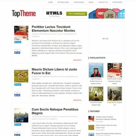 Mythemeshop Top Wordpress Theme