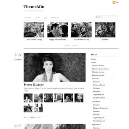 Themify Thememin Wordpress Theme