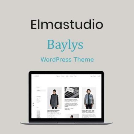 Elmastudio Baylys Wordpress Theme