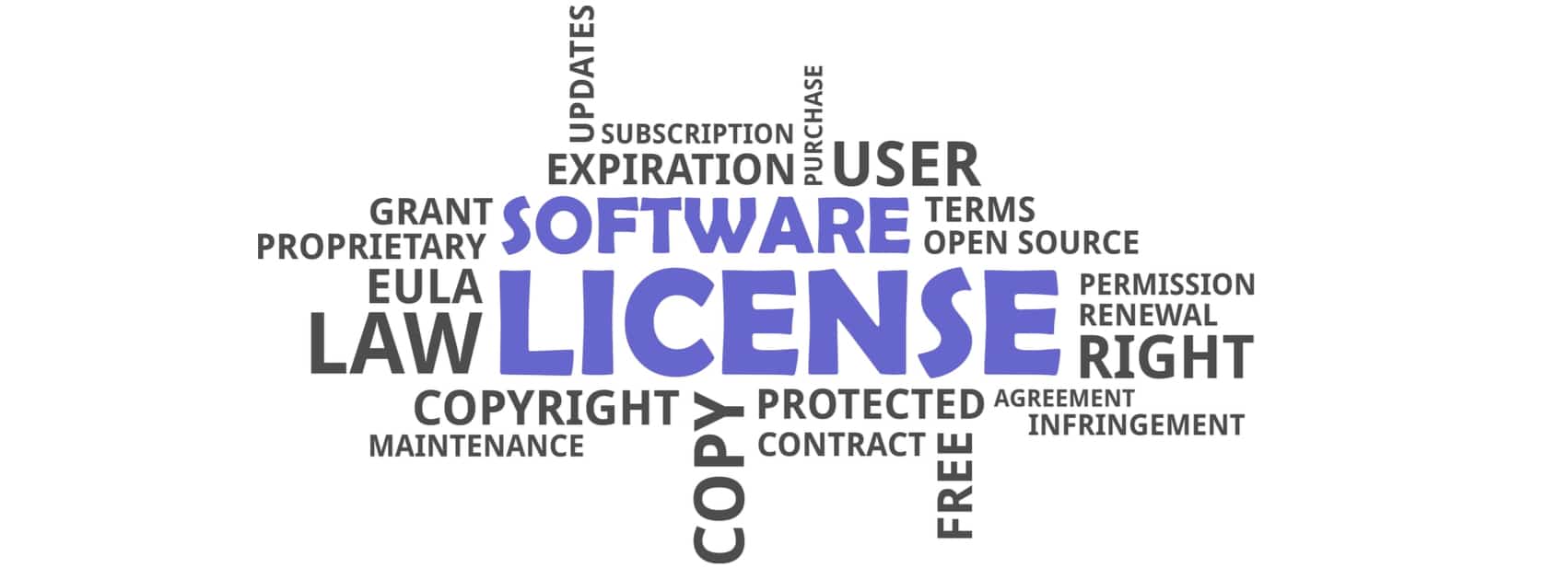 Software Licensing Med