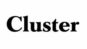 Cluster 2