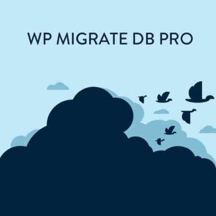 Wp Migrate Db Pro