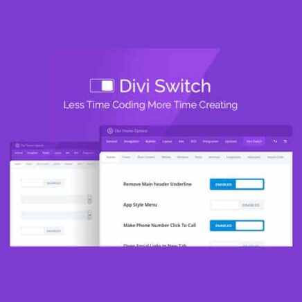 Divi Switch