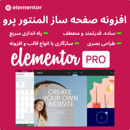 Elementor Pro 1