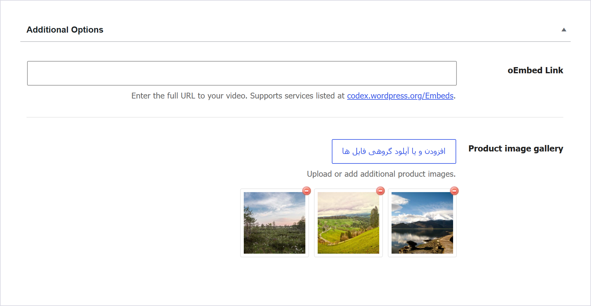 کادر Additional Options در ویرایشگر محصول با فیلد Oembed Link و گالری عکس‌های محصول